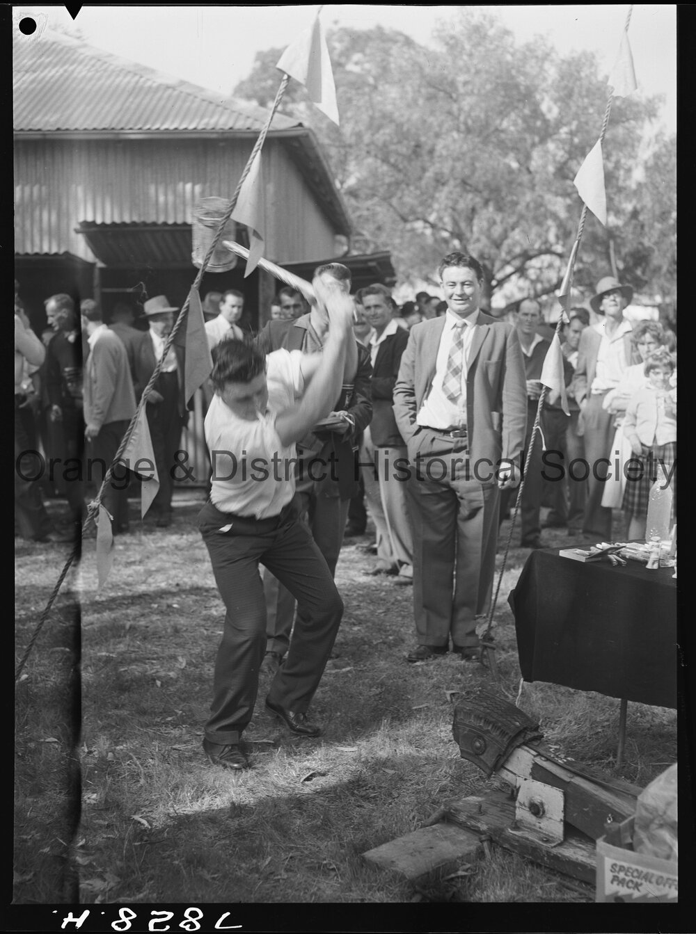 Molong Show