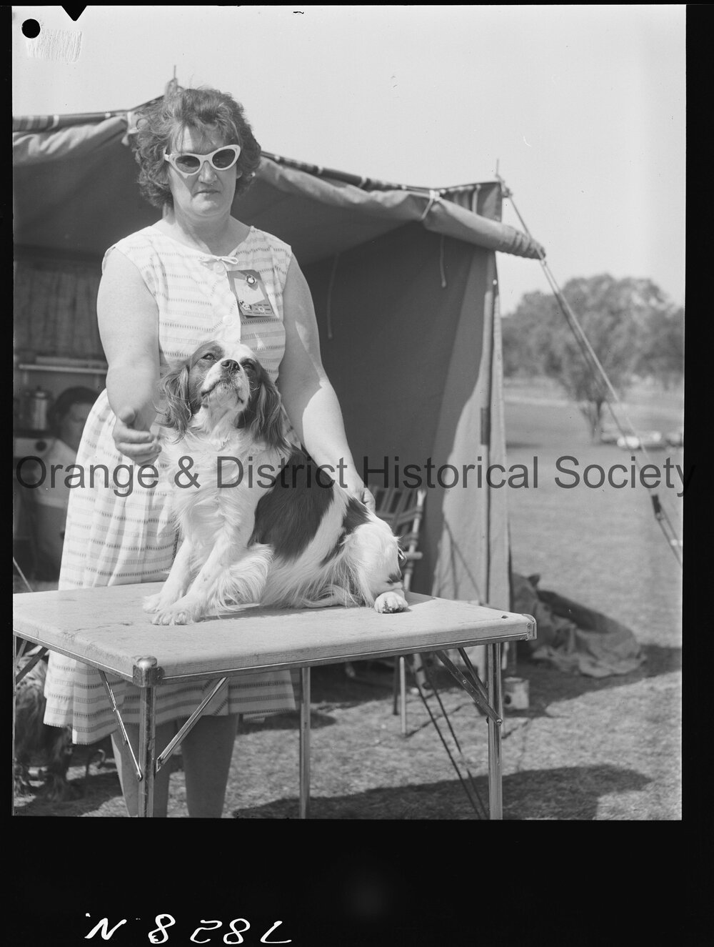 Molong Show