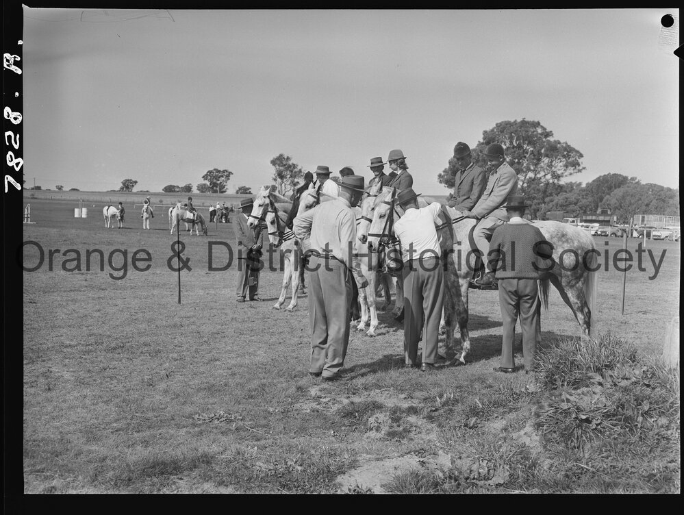 Molong Show