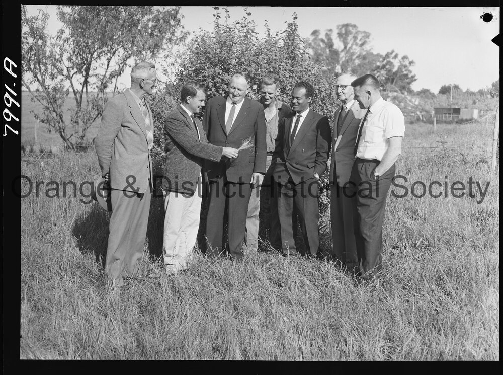 Serrated tussock field day
