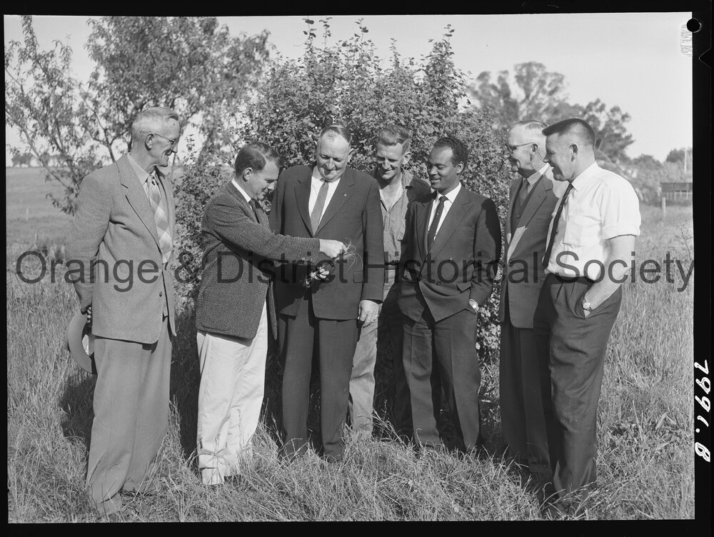 Serrated tussock field day