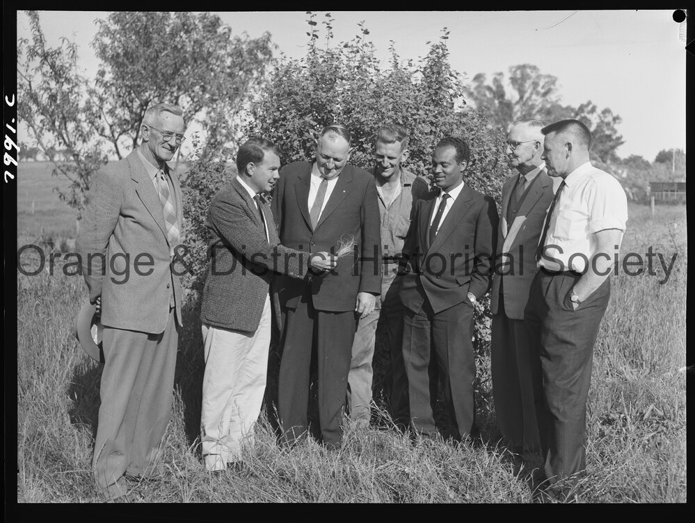 Serrated tussock field day