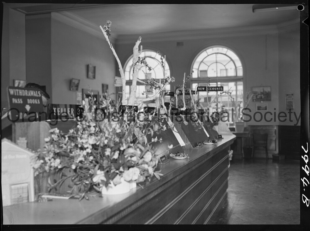 Cherry Blossom display in the Commonwealth Bank