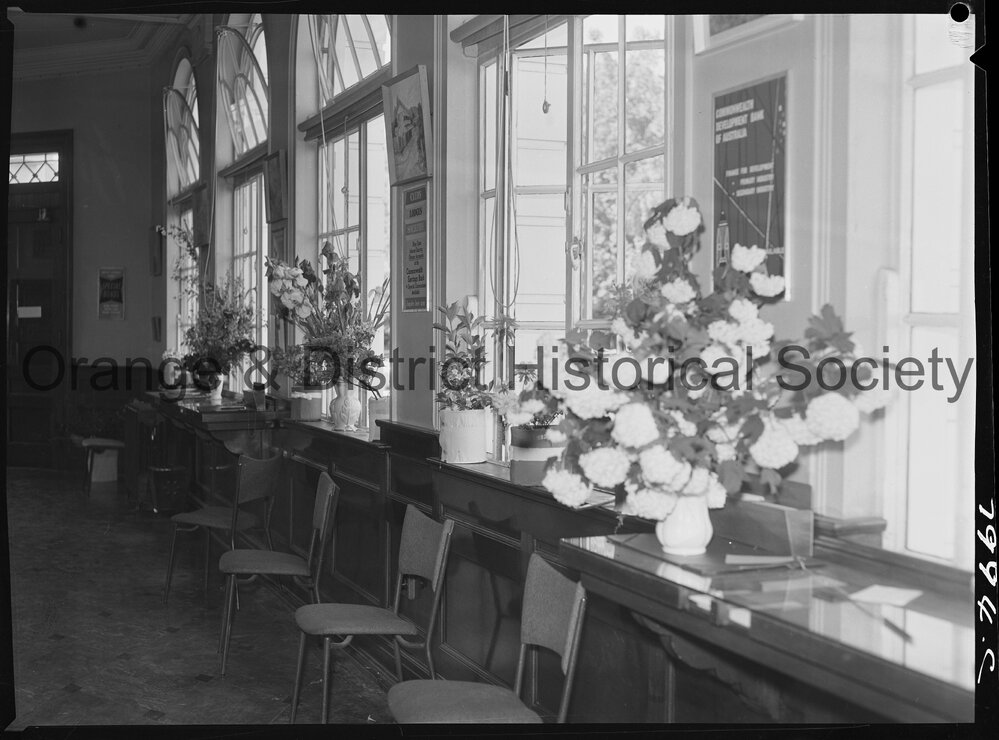 Cherry Blossom display in the Commonwealth Bank