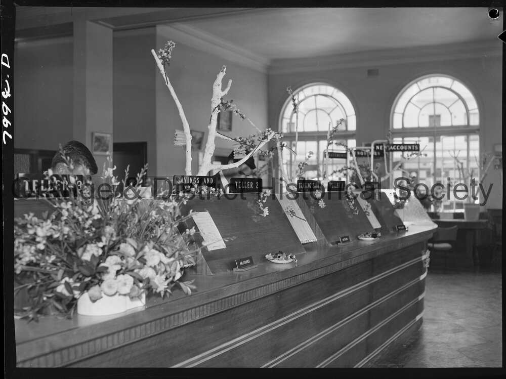 Cherry Blossom display in the Commonwealth Bank