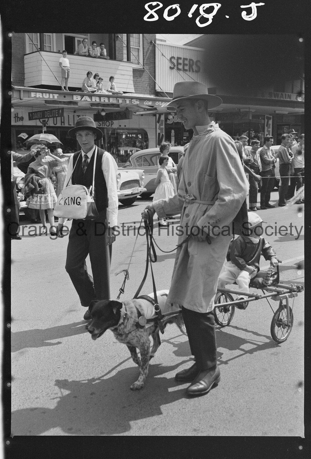 Cherry Blossom procession