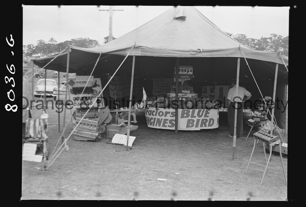 Third day of Field Days