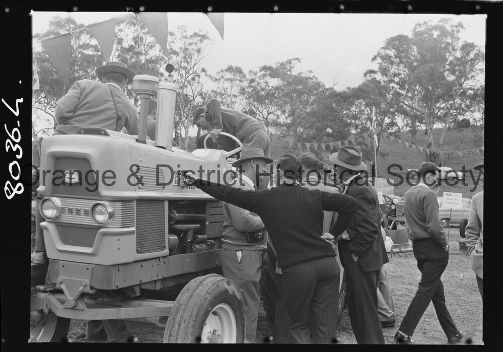 Third day of Field Days