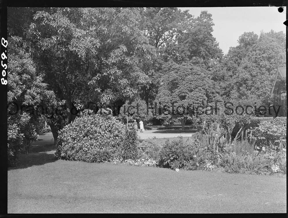 Cook Park | Central West Libraries