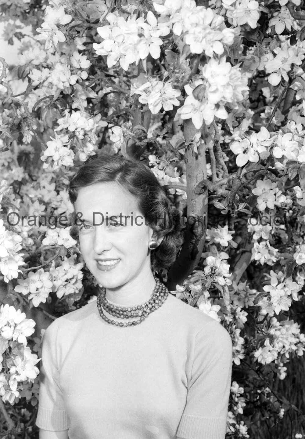 Shirley Laughton with blossoms