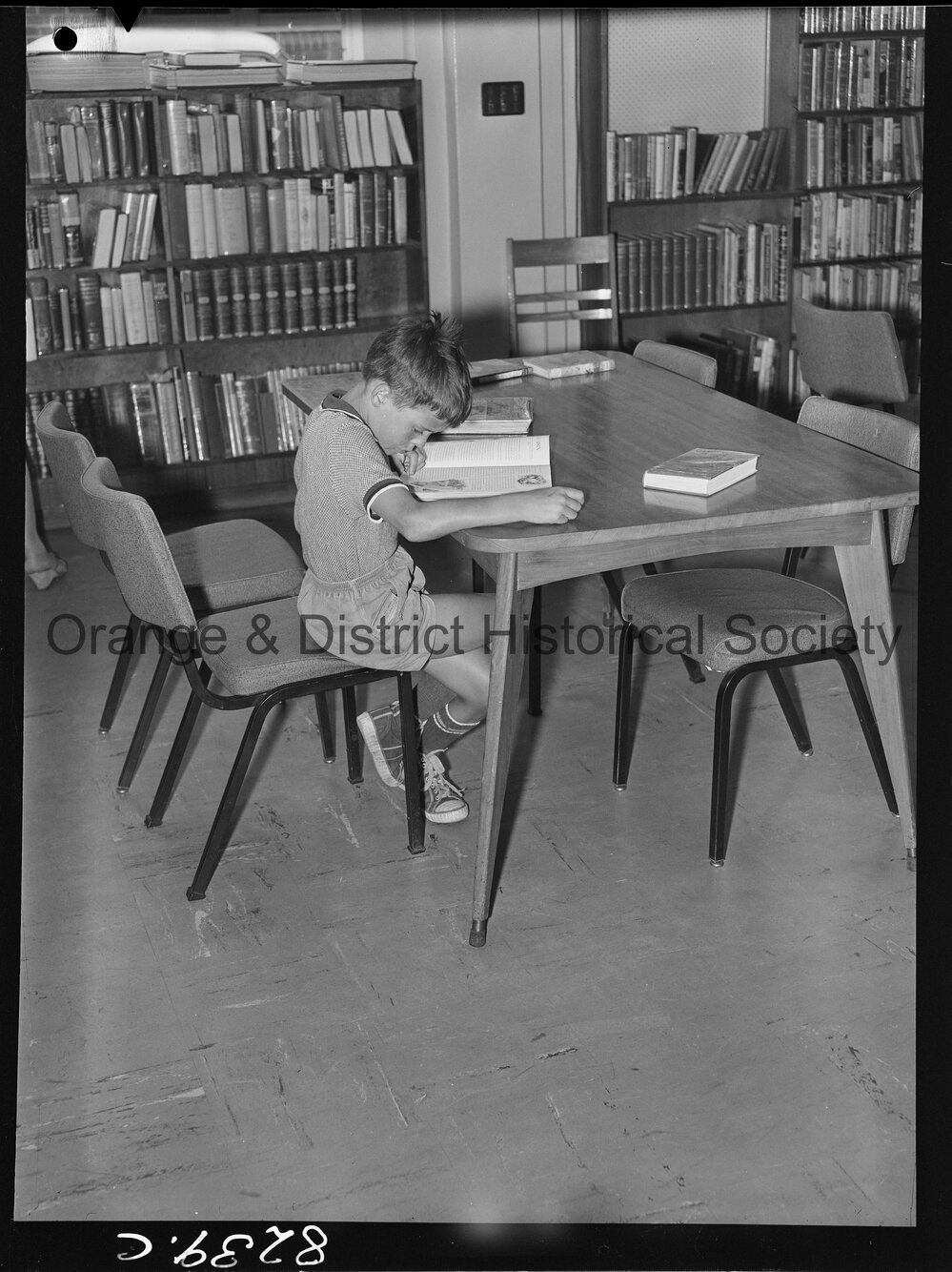 Adrian Ungar at the City Library