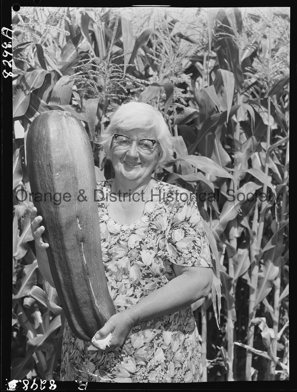 Mrs Davis of Sampson Street with giant marrow