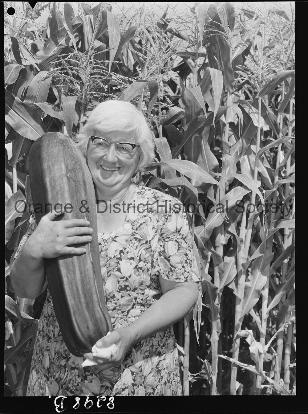 Mrs Davis of Sampson Street with giant marrow