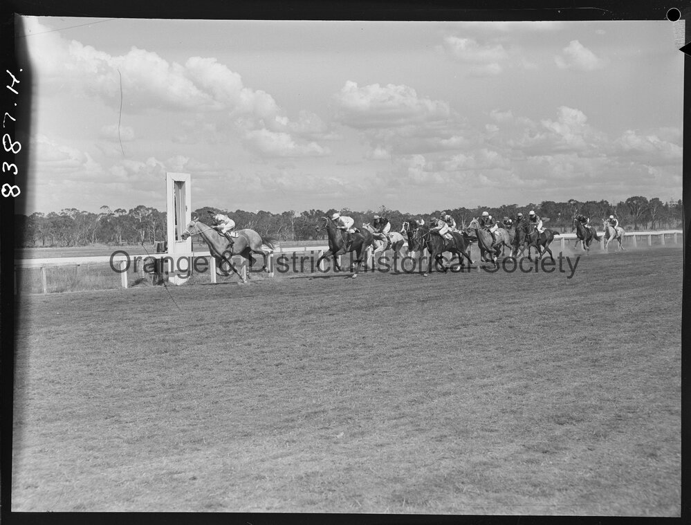 Orange Cup finishes