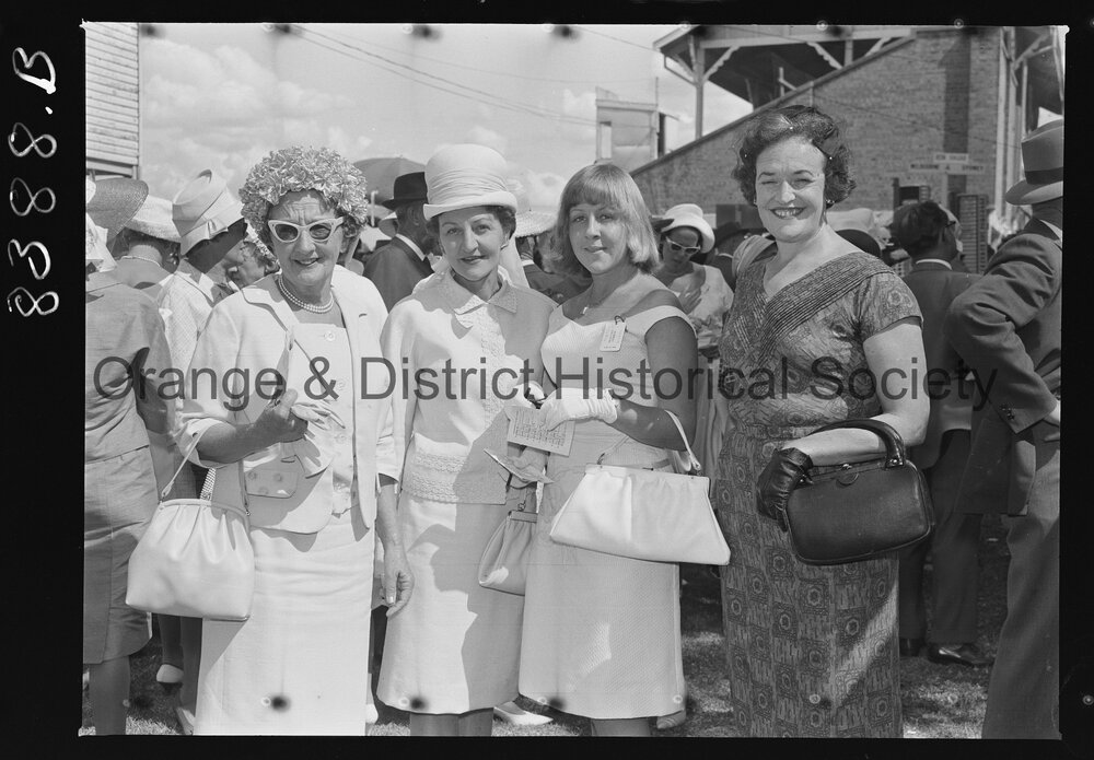 Orange Cup fashions