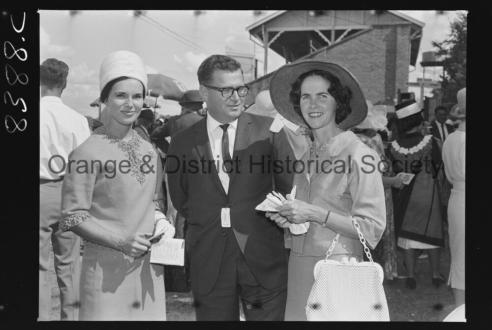Orange Cup fashions