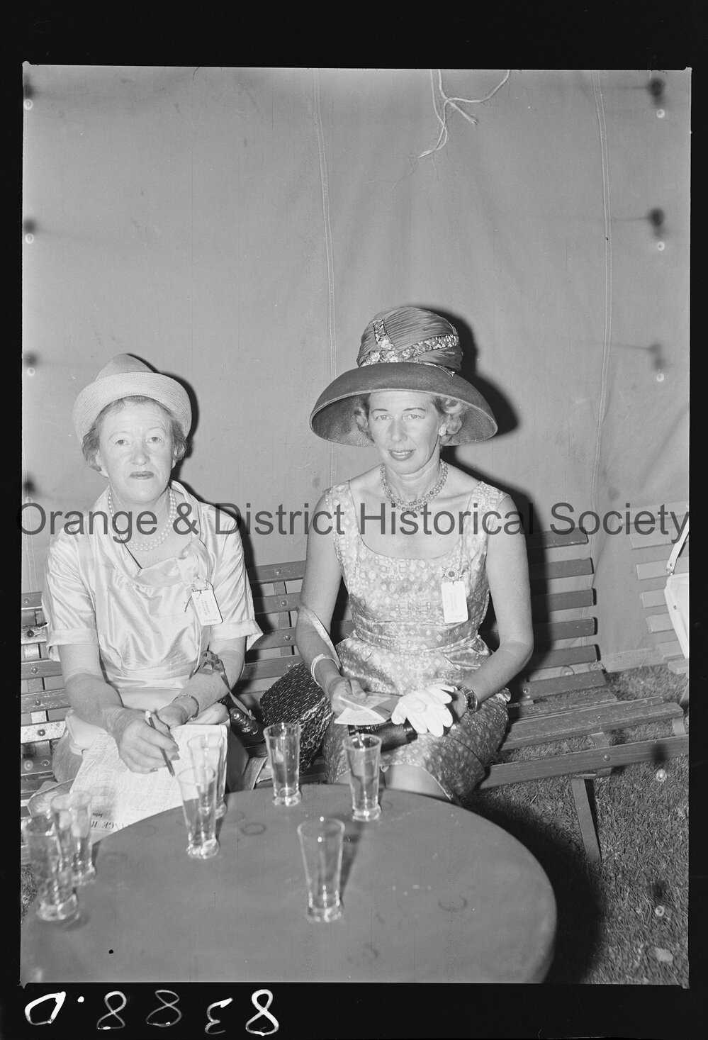 Orange Cup fashions
