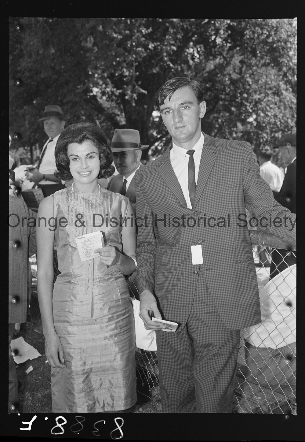 Orange Cup fashions