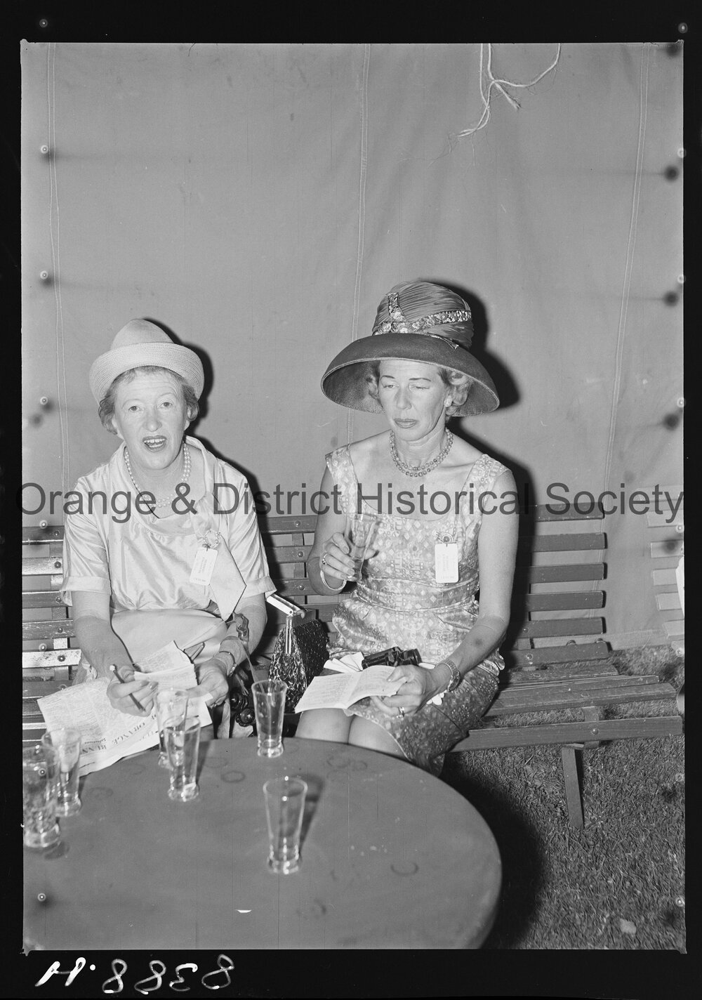 Orange Cup fashions