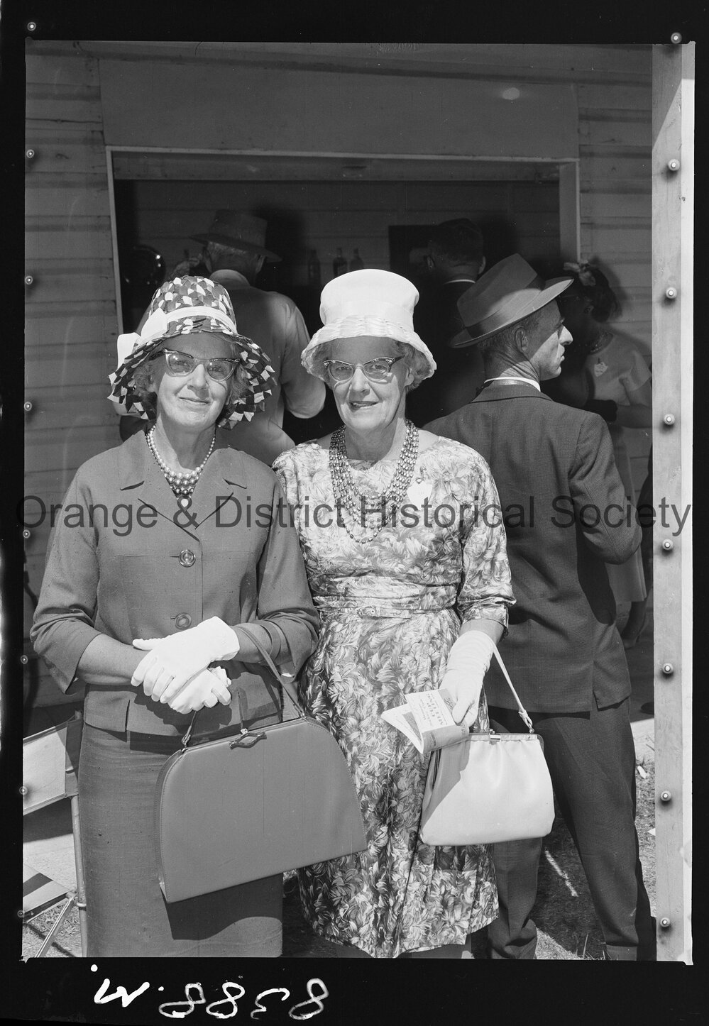 Orange Cup fashions