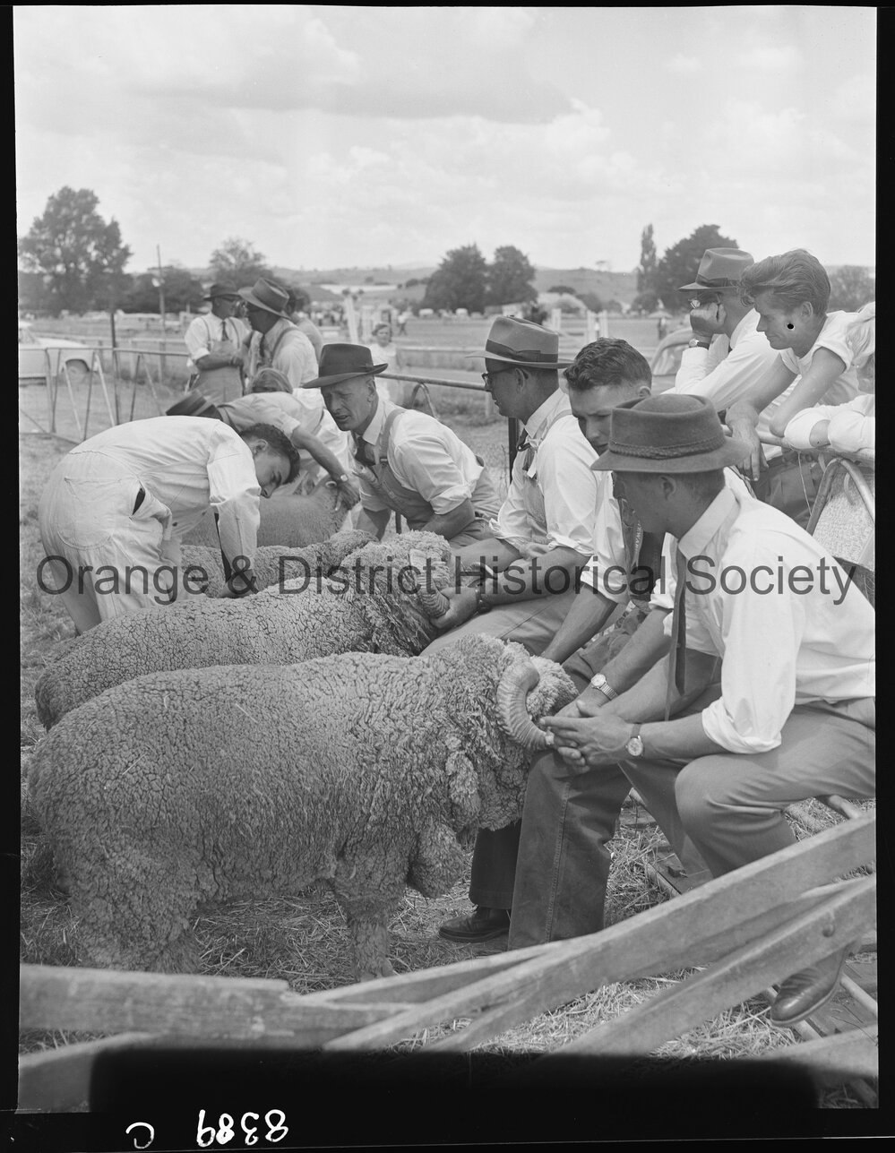 Blayney Show