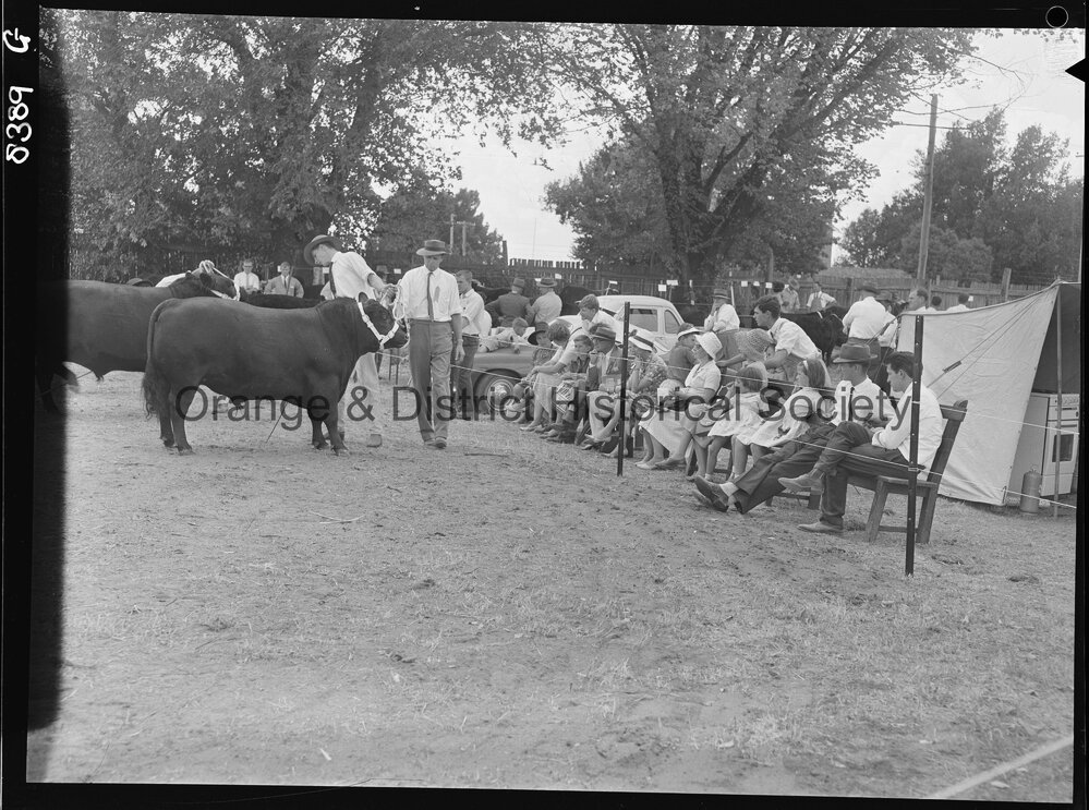 Blayney Show