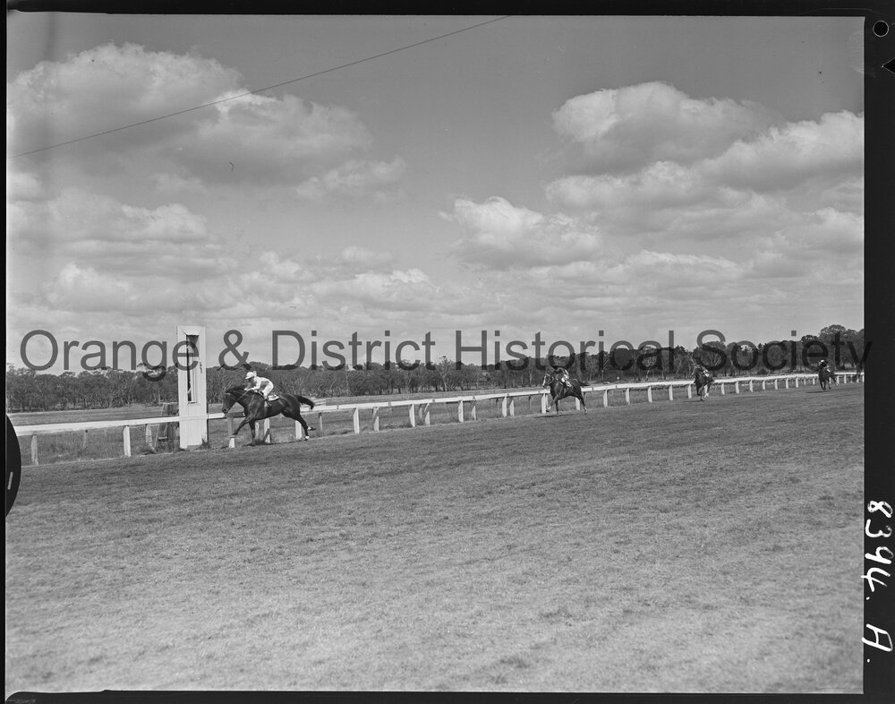 Orange race finishes