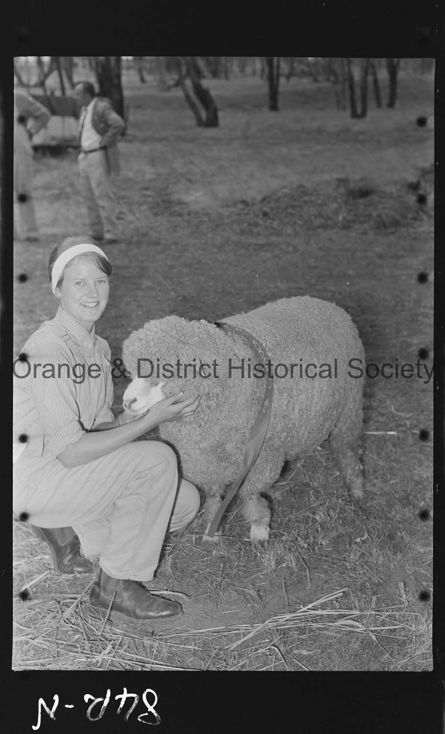 Cumnock Show