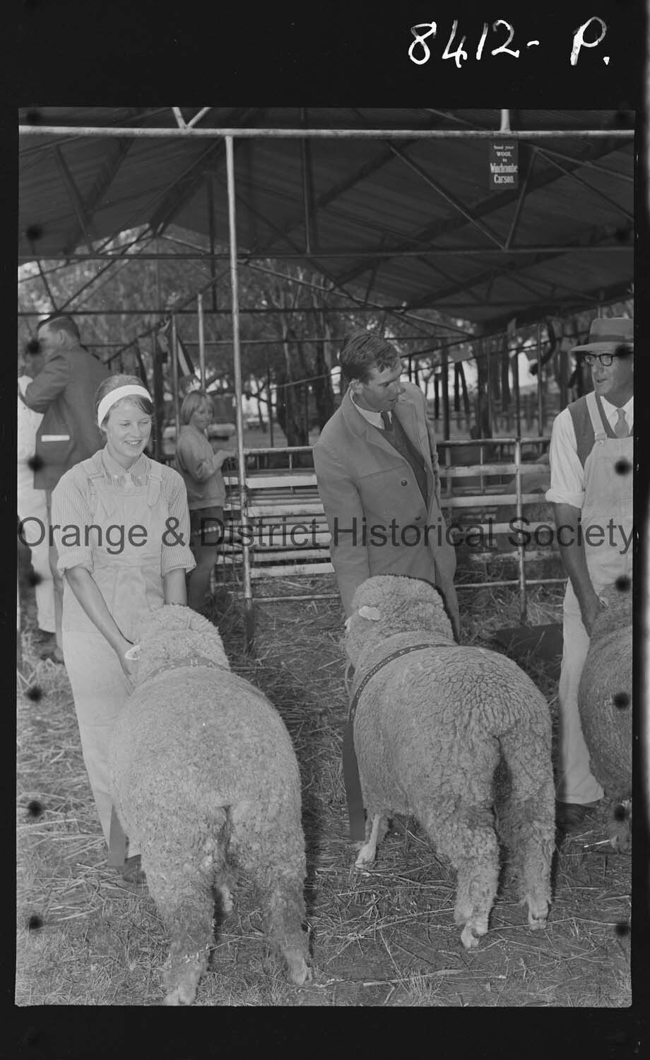 Cumnock Show