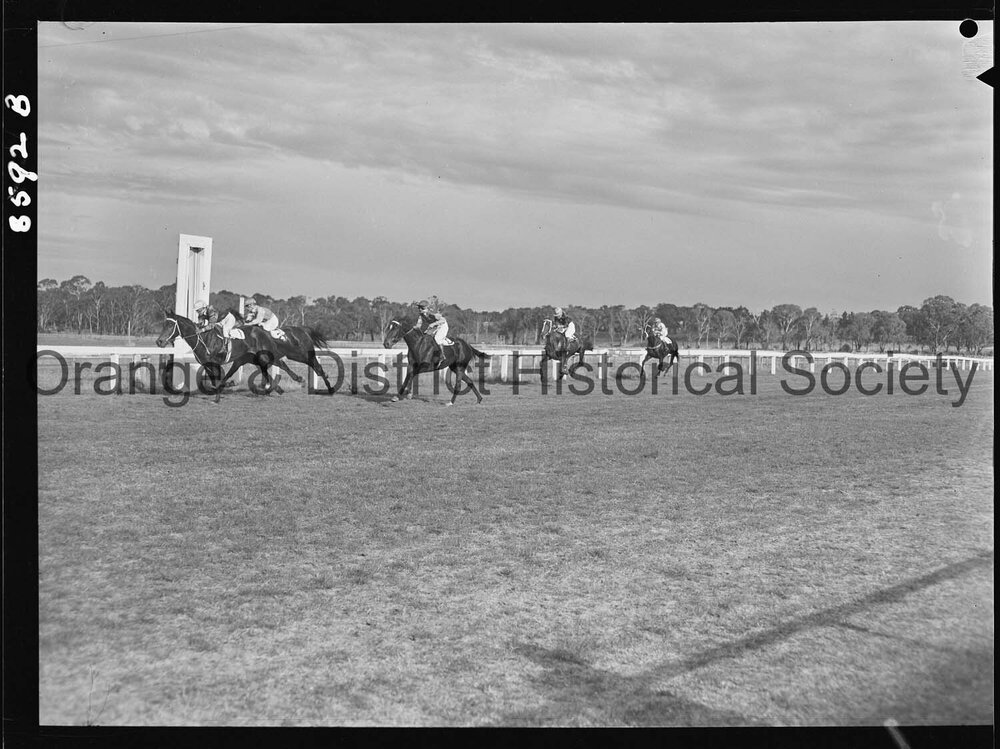 Trainer's cup race finishes