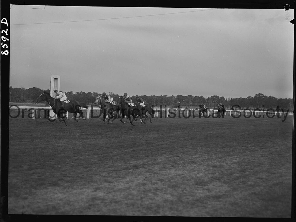 Trainer's cup race finishes