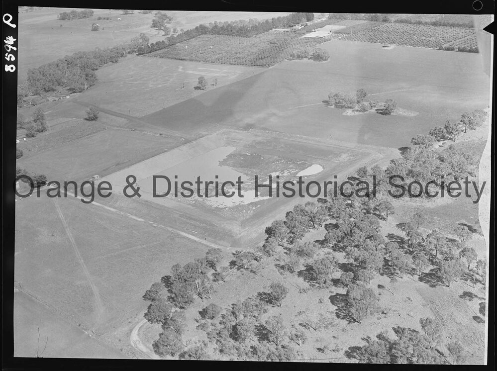 Aerial view of McClymont's orchard
