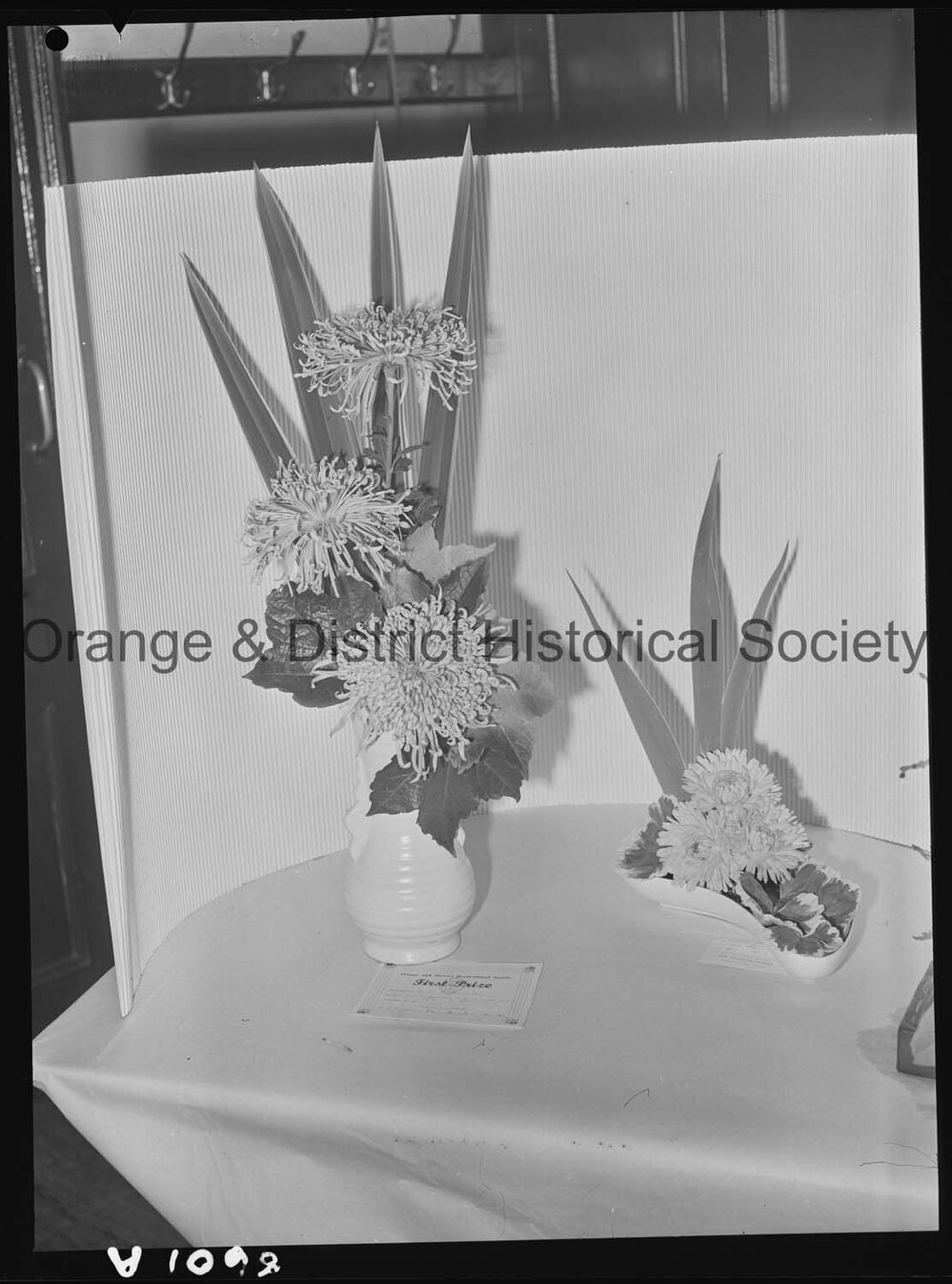 Orange Horticultural Society's Late Autumn Flower Show