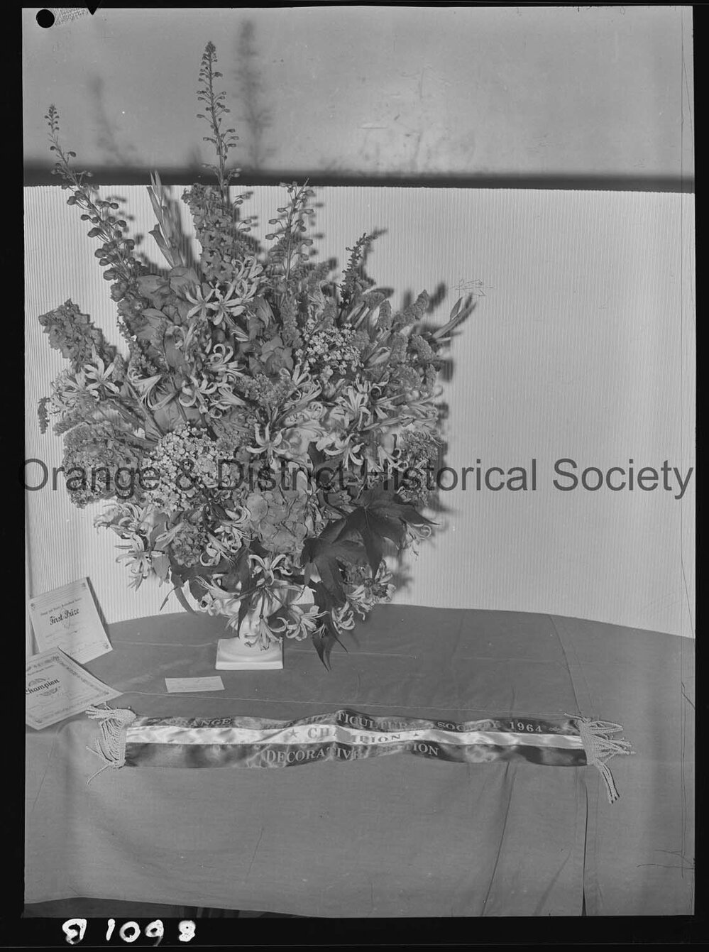 Orange Horticultural Society's Late Autumn Flower Show