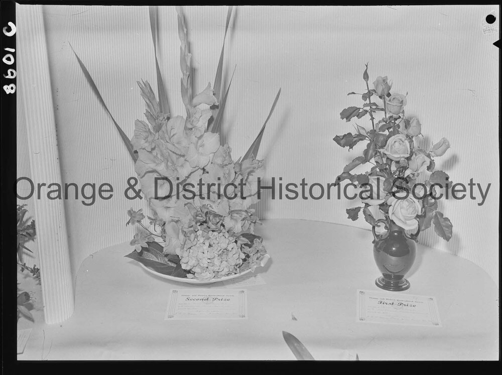 Orange Horticultural Society's Late Autumn Flower Show