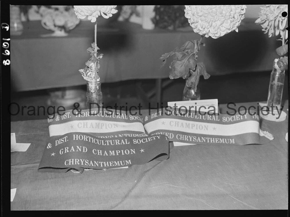 Orange Horticultural Society's Late Autumn Flower Show