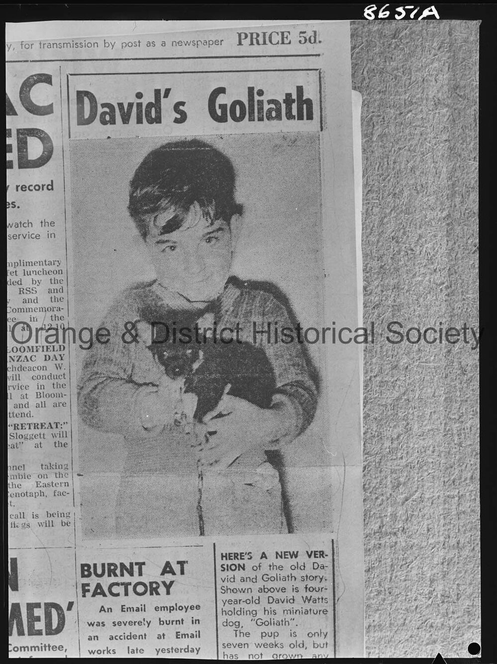Copy David Watts and his puppy Goliath