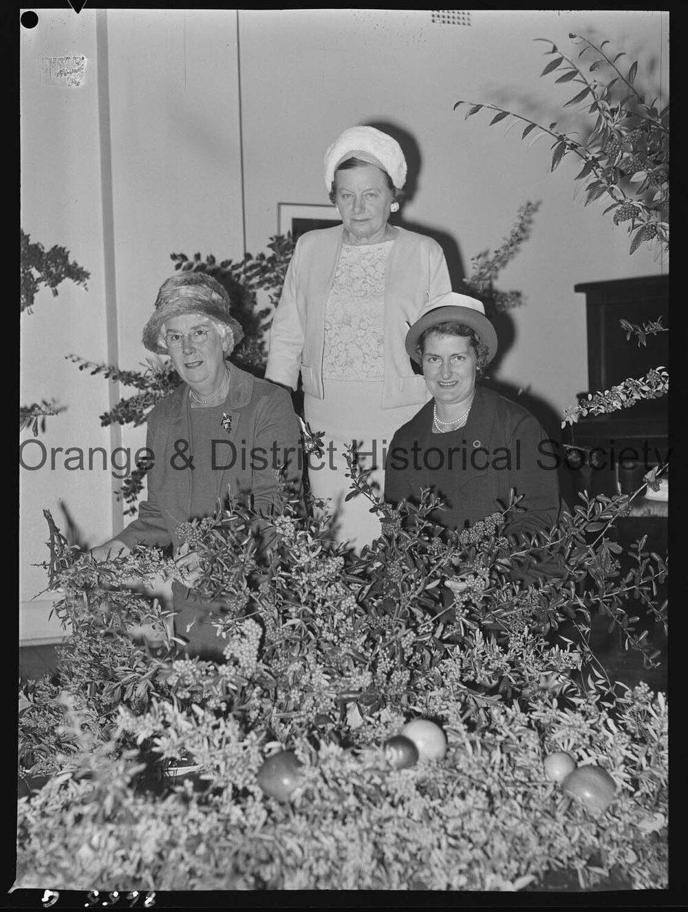 Berry fete at CWA Hall