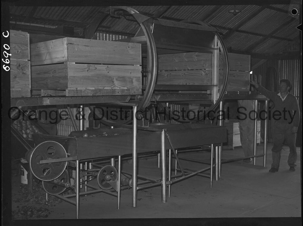 Armstrong's Orchard Nashdale