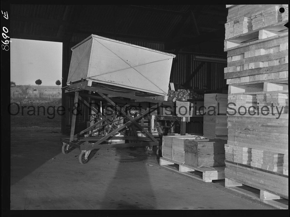 Armstrong's Orchard Nashdale