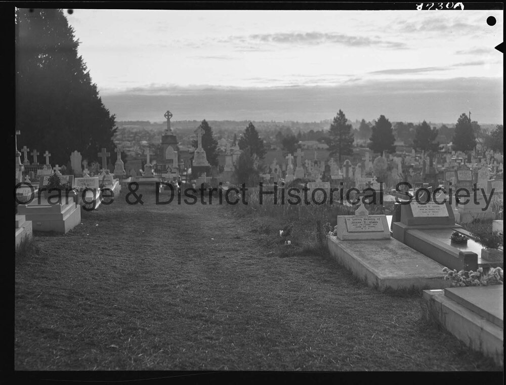 Cemetery cleanup