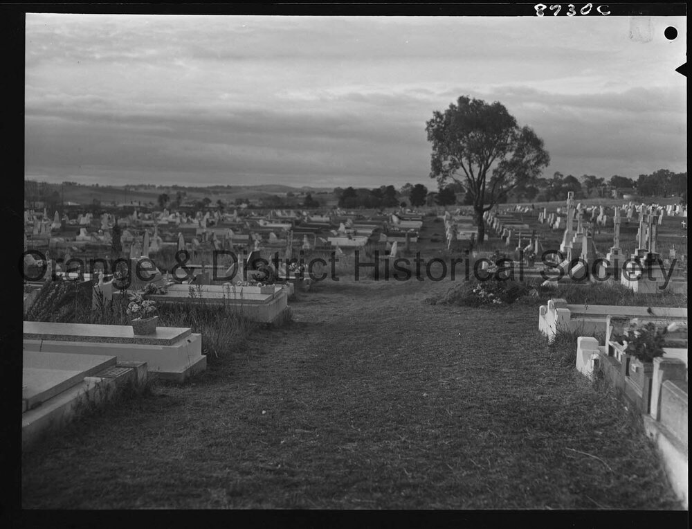 Cemetery cleanup