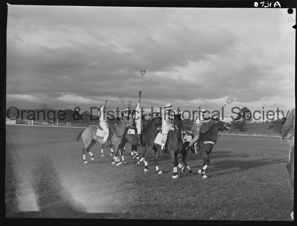 Polocrosse carnival