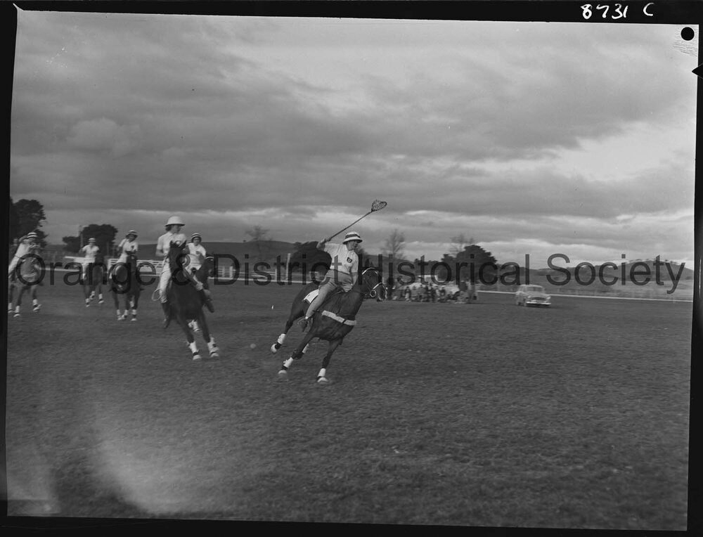 Polocrosse carnival
