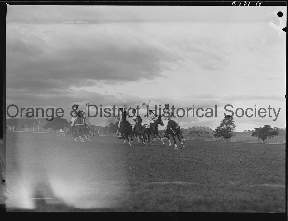 Polocrosse carnival