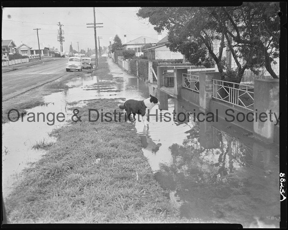 Water on road in Nile Street