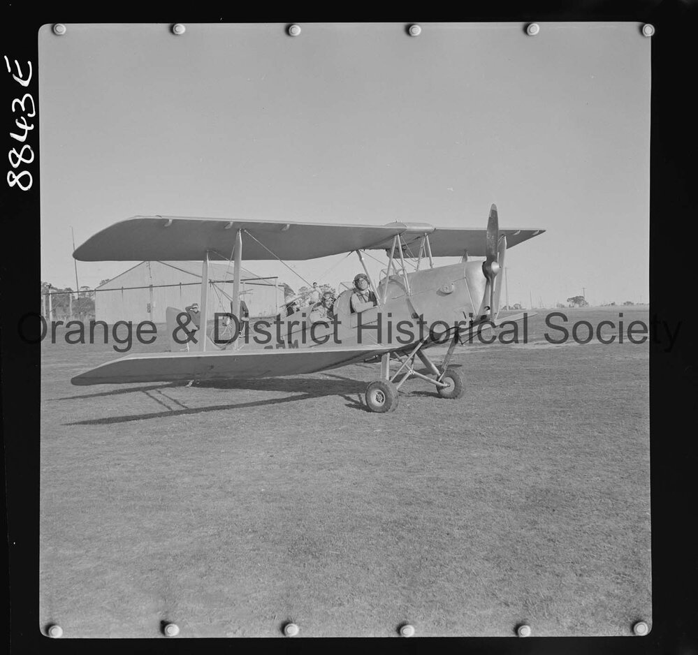 Tiger Moth in Orange