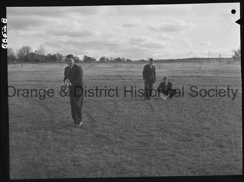 Bloomfield aerodrome paddock