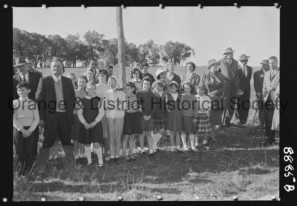 Tree planting at Nashdale