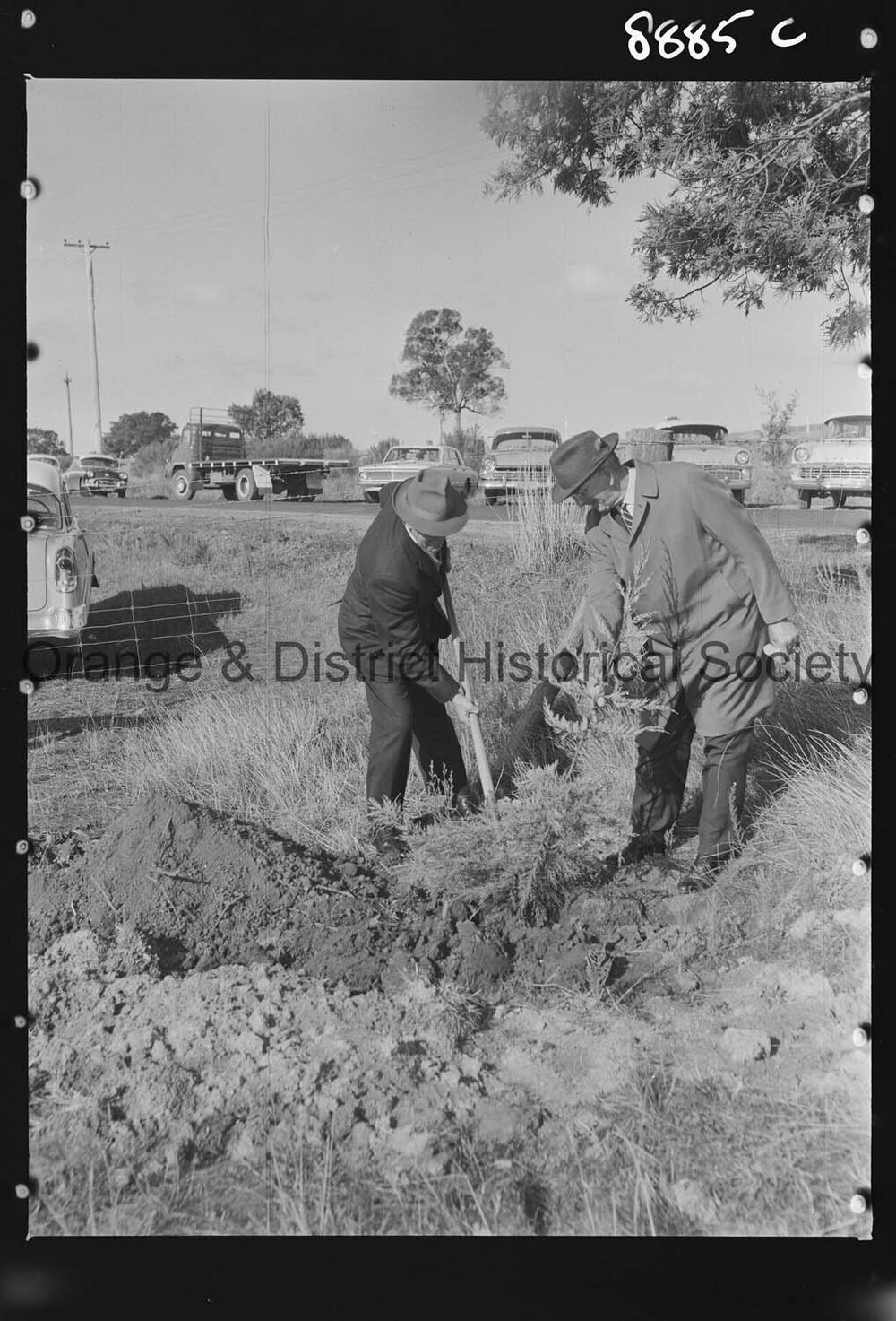 Tree planting at Nashdale